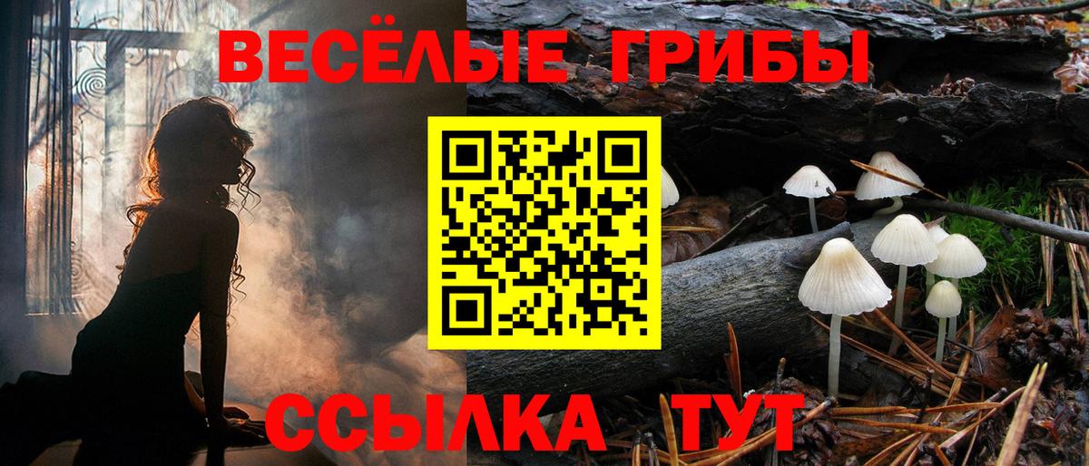 Галлюциногенные грибы Cubensis  Вход с VPN  Гусь-Хрустальный 